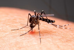 Duas mortes de crianças em São Bento são investigadas por suspeita de dengue grave
