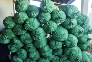 Homem é preso com 430 quilos de maconha em operação da PM no Cariri paraibano
