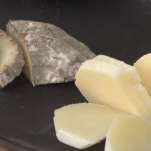 Queijo de leite de cabra da Paraíba conquista ouro em concurso internacional