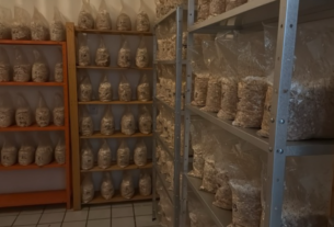 PF desarticula grupo que vendia drogas pelas redes sociais na Paraíba