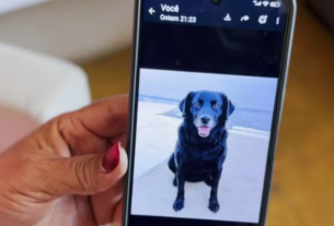 Polícia apreende celulares durante investigação sobre envenenamento de animais em Teixeira