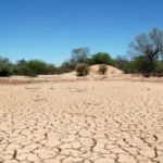 Mais de 190 cidades da Paraíba estão sob alertas de baixa umidade