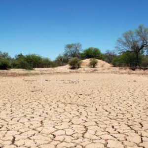 Mais de 190 cidades da Paraíba estão sob alertas de baixa umidade