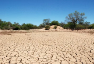 Mais de 190 cidades da Paraíba estão sob alertas de baixa umidade